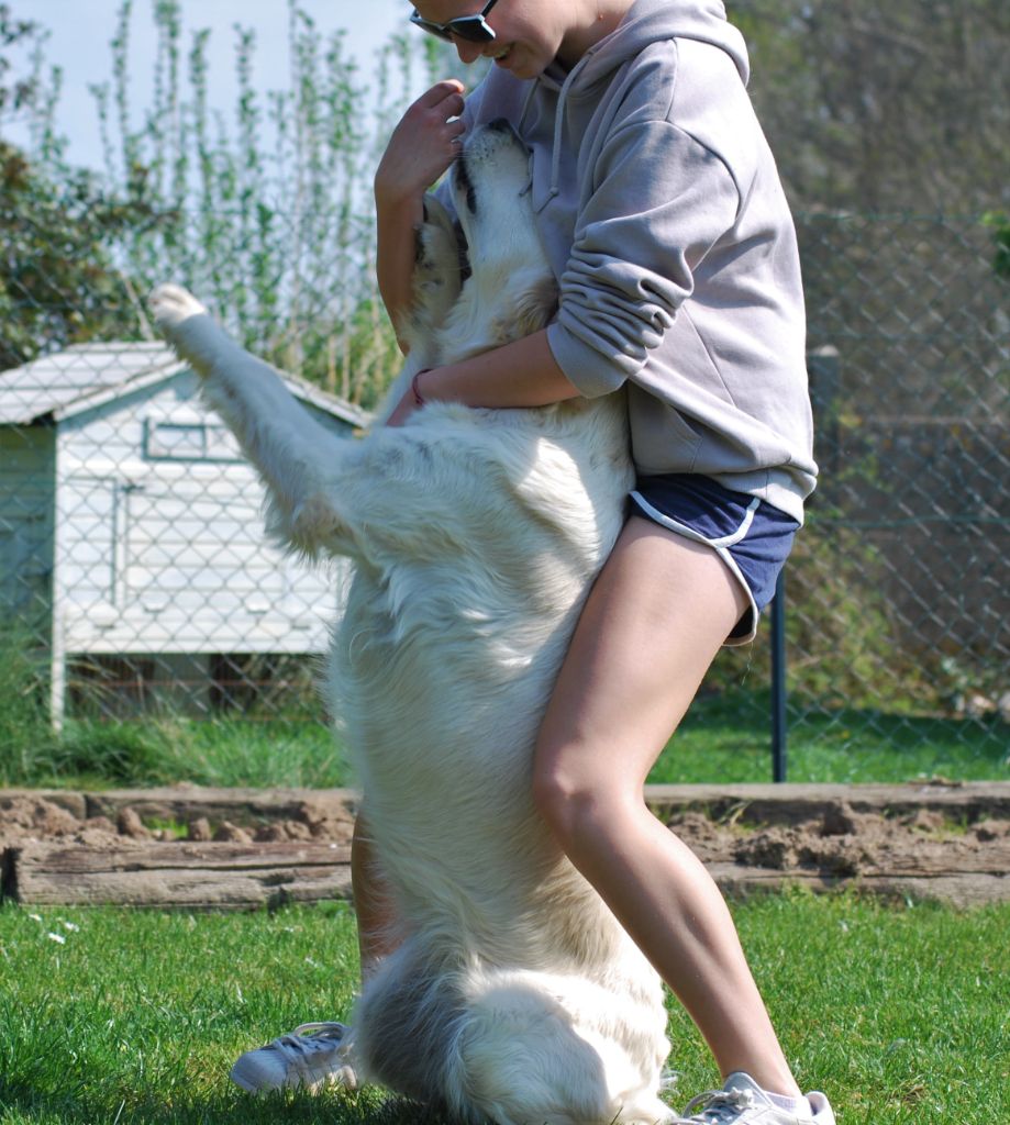Dog dancing